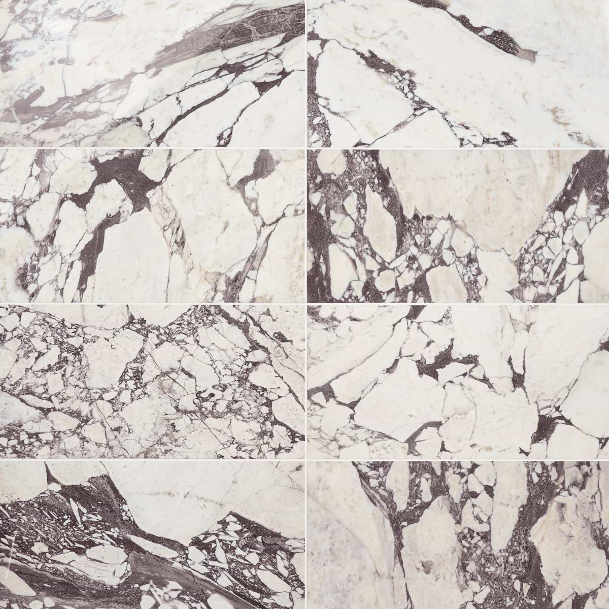 CALACATTA VIOLA Premium 12x24 Polished Marble Tile