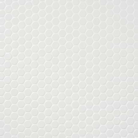 Paradise White 1" Penny Round Polished Porcelain Mosaic