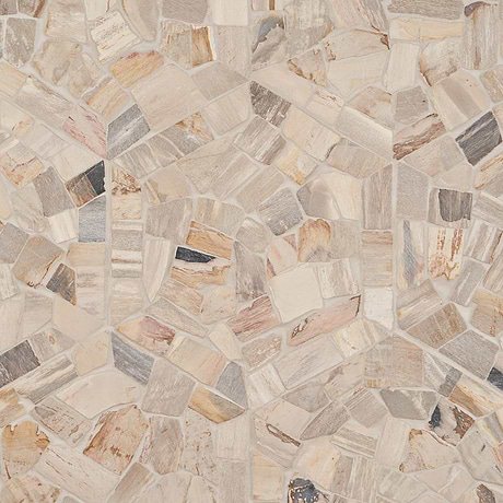 Fossil Beige 10" Hexagon Tumbled Petrified Stone Mosaic