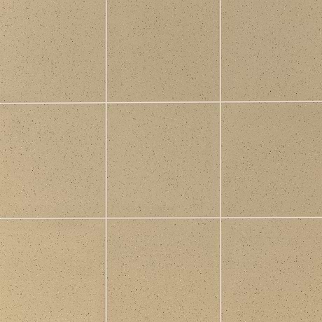 Elemental Ironspot Beige 8x8 Ceramic Quarry Tile