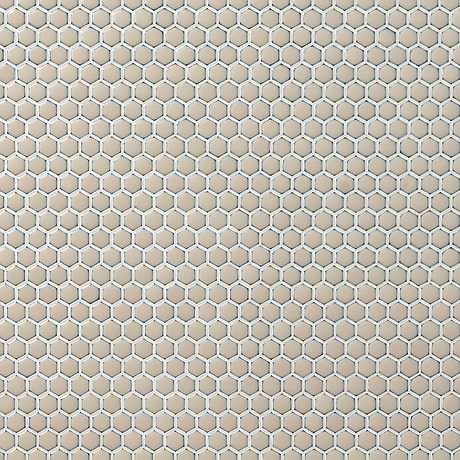 Eden Latte Beige 1" Rimmed Hexagon Polished Porcelain Mosaic