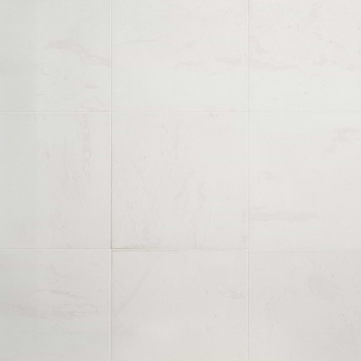 CORINTHIAN WHITE White 24x24 Honed Limestone Tile