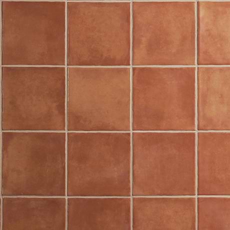 Talia Terracotta 5x5 Matte Ceramic Tile by Paula Purroy