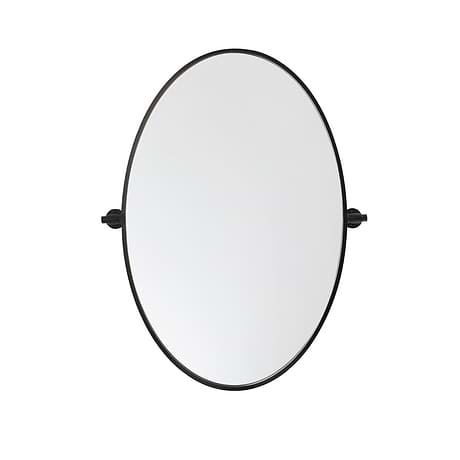Liora Matte Black 21x32" Oval Tilt Mirror