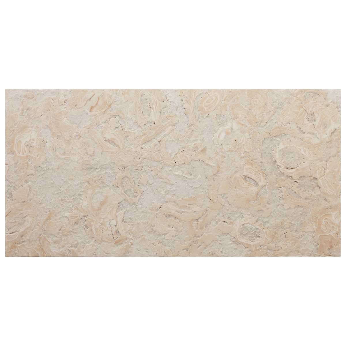 OCEAN REEF Beige 12x24 Brushed Limestone 5CM Pool Coping