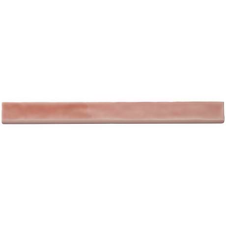 Carolina  Coral 2X20 Bullnose