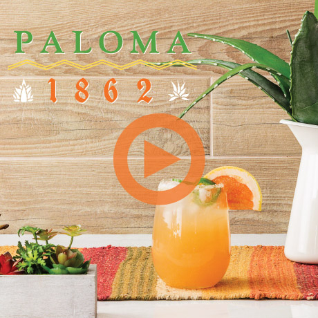 Paloma 1862