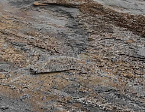 Slate