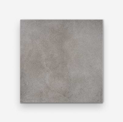 New Rock Fossil Dark Gray 48x48