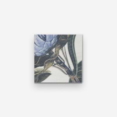 Angela Harris Wilder Protea Leaves Mural 8x8