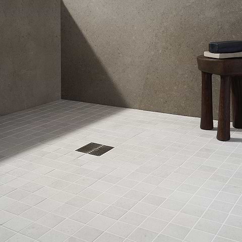 Floor Mosaics