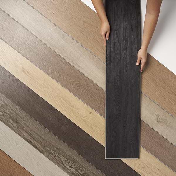 Moxy XL