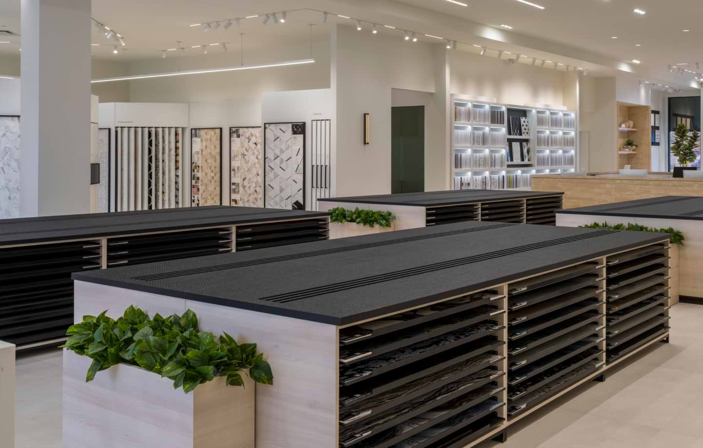 Charlotte  Showroom