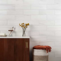Bianco Dolomite White 4x12 Premium Polished Marble Tile