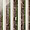 Elizabeth Sutton Arc Stripes Rainbow Multicolor 12x12 Polished Marble Mosaic Tile