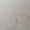 Portrait Ivory Beige 24x24 Matte Porcelain Tile