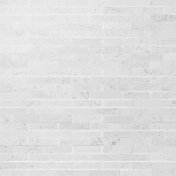 Bianco Carrara 2x8 Brushed Marble Tile in White, View 1
