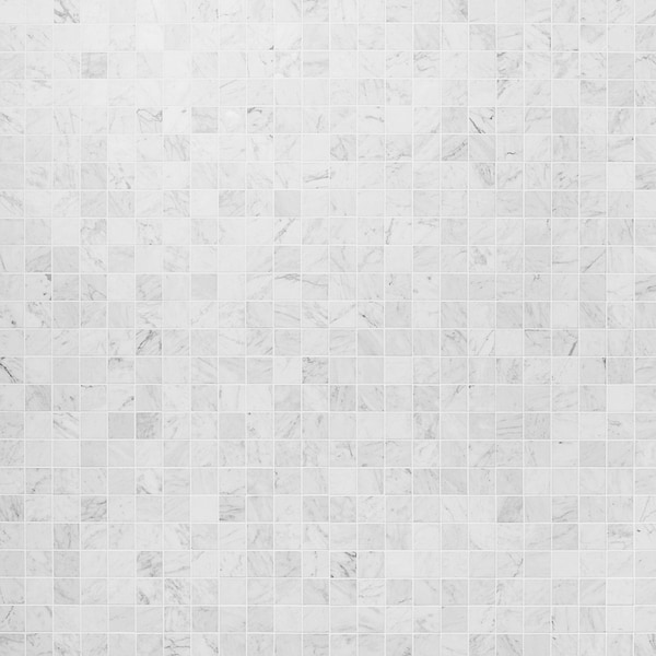 Bianco Carrara 2x2 Honed Marble Mosaic Tile in White, View 1