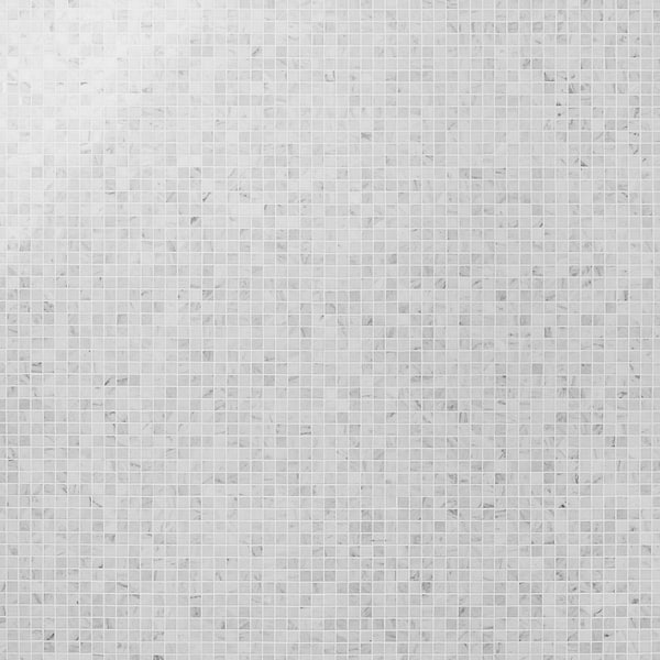 Bianco Carrara 1x1 Polished Marble Mosaic Tile in White, View 1