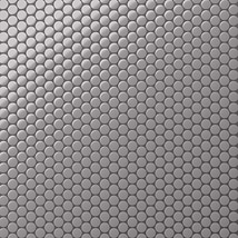 Serenity Dark Gray 1" Penny Round Matte Porcelain Mosaic Tile