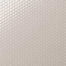 Serenity Pearl Beige 1" Penny Round Polished Porcelain Mosaic Tile