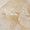 Harmonyx Champagne Beige 24x48 Onyx Look Polished Porcelain Tile