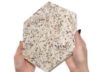 Reef Cream 8" Hexagon Polished Pearl Terrazzo Tile