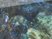 Jewel Onyx Pearl Sky 24x48 Polished Porcelain Tile