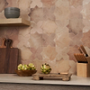 Parma Cotto Brown Matte Star and Cotto Brown Matte Cross 6&quot; Terracotta Look Porcelain Tile