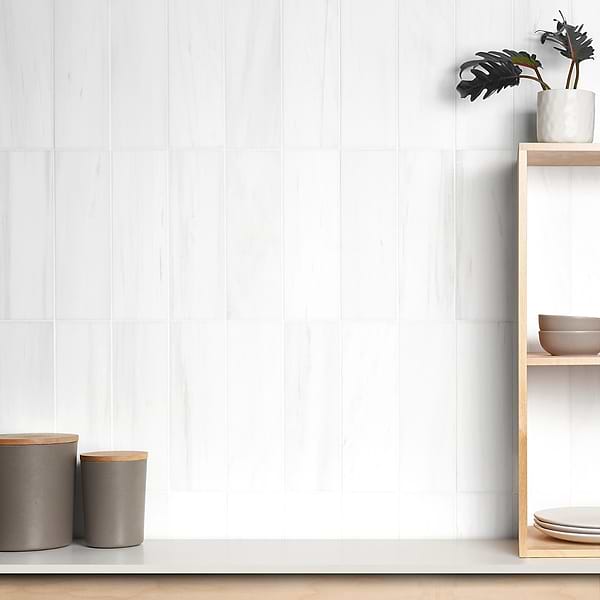 Bianco Dolomite White 4x12 Premium Honed Marble Tile
