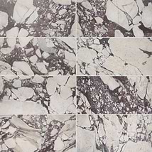 Calacatta Viola Premium 12x24 Honed Marble Tile