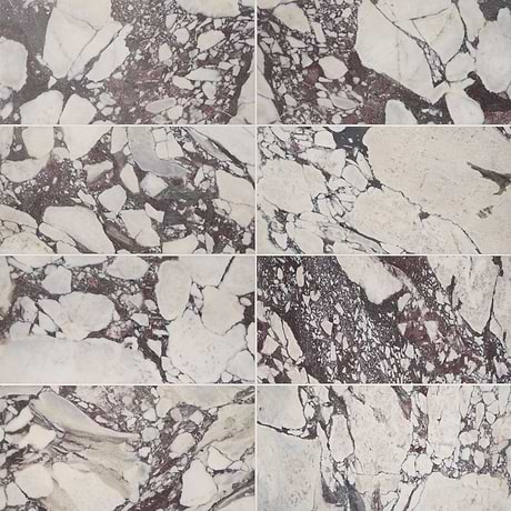 Calacatta Viola Premium 12x24 Honed Marble Tile