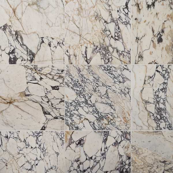Calacatta Monet 18x18 Honed Marble Tile