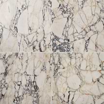 Calacatta Monet 24x24 Honed Marble Tile