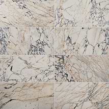 Calacatta Monet 12x24 Honed Marble Tile