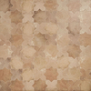 Parma Cotto Brown Matte Star and Cotto Brown Matte Cross 6&quot; Terracotta Look Porcelain Tile