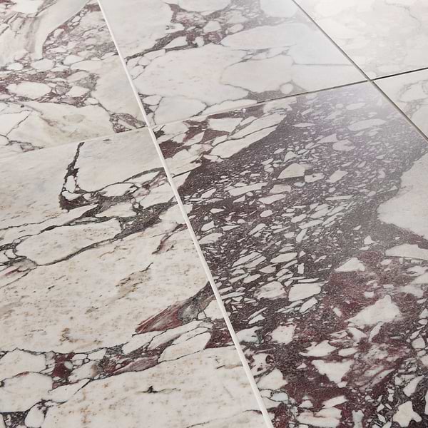 Calacatta Viola Premium 12x24 Honed Marble Tile