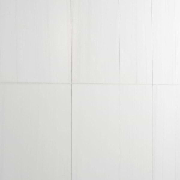 Bianco Dolomite White 12x24 Premium Honed Marble Tile