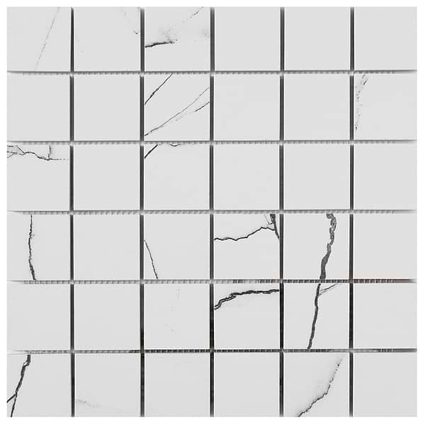 Drama Breach Black & White 2x2 Matte Porcelain Mosaic Tile