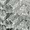 Botanic Chiaro Green 24x48 Textured Matte Ceramic Tile