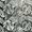 Botanic Scuro Green 24x48 Textured Matte Ceramic Tile