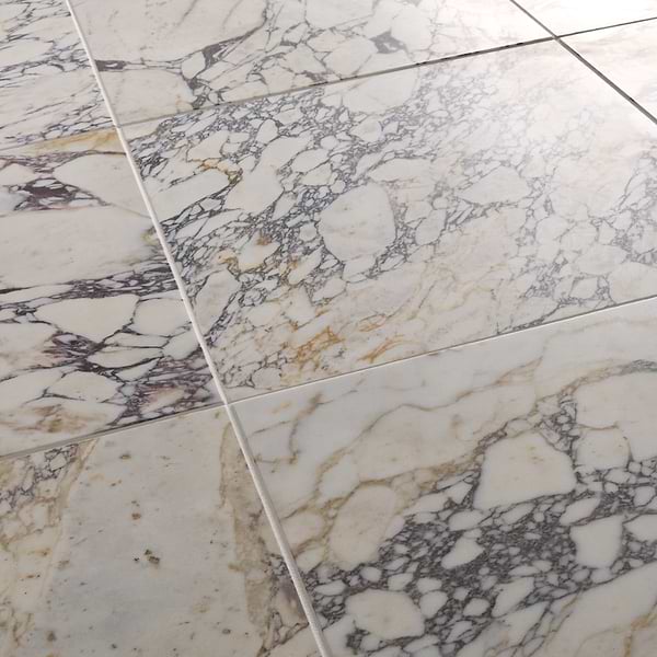 Calacatta Monet 18x18 Honed Marble Tile