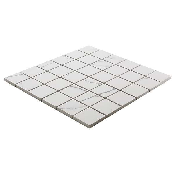 Drama Breach Black & White 2x2 Matte Porcelain Mosaic Tile