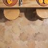 Parma Cotto Brown Matte Star and Cotto Brown Matte Cross 6" Terracotta Look Porcelain Tile; in Terracotta | Brown Porcelain; for Backsplash, Bathroom Floor, Bathroom Wall, Commercial Floor, Floor Tile, Kitchen Floor, Kitchen Wall, Outdoor Floor, Outdoor Wall, Pool Tile, Shower Floor, Shower Wall, Wall Tile; in Style Ideas Craftsman, Mediterranean, Mid Century, Traditional; released 2025; new, trends