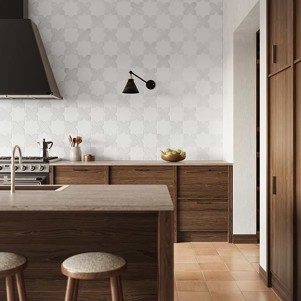 Parma White Polished Star and White Matte Cross 6" Terracotta Look Porcelain Tile