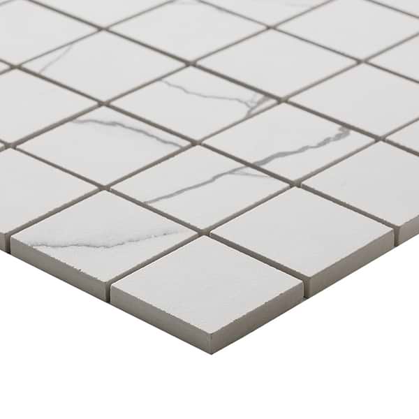 Drama Breach Black & White 2x2 Matte Porcelain Mosaic Tile