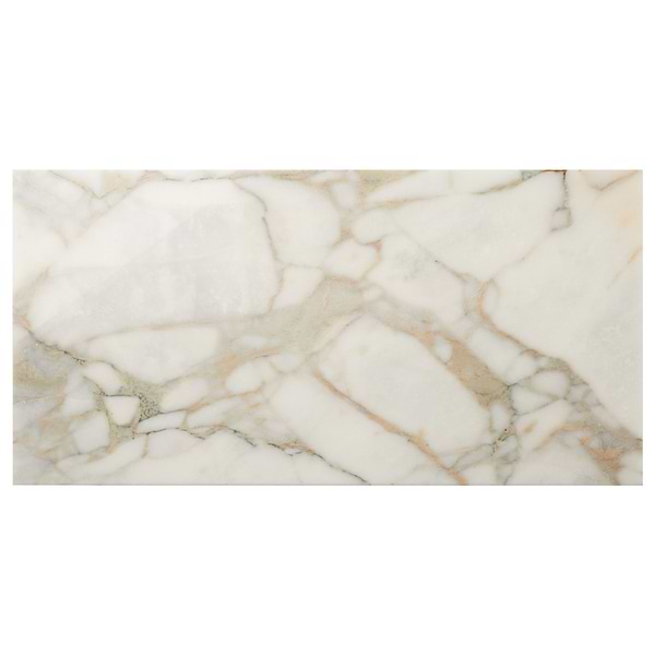 Calacatta Verde Premium 12x24 Polished Marble Tile