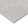 Ecliptic Chrome Gray 24x48 Matte Porcelain 2CM Outdoor Paver
