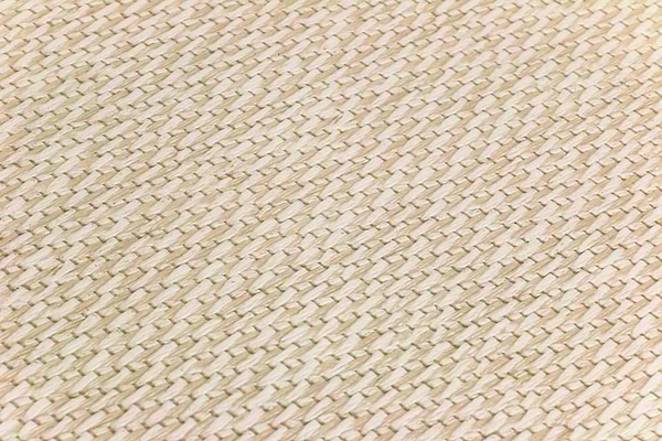 Carpeta Crema 12x36 Porcelain Tile