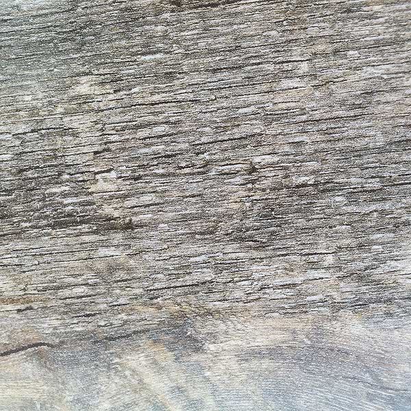 Noon Polished Ember 8x48 Porcelain Tile